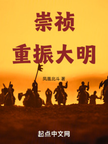 崇祯重振大明（朱由检）在线阅读