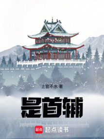 是，首辅！（顾衍）在线阅读