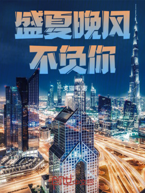 盛夏晚风不负你在线阅读