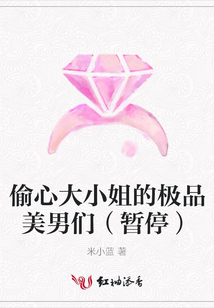 偷心大小姐的極品美男們(暫停)
