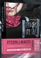 重生之名門貴妻在線閱讀