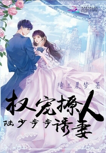 权宠撩人陆少步步诱妻