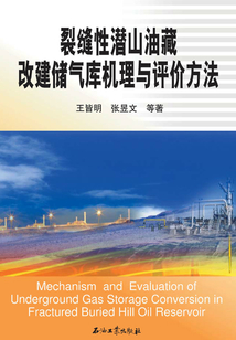 裂縫性潛山油藏改建儲氣庫機理與評價方法