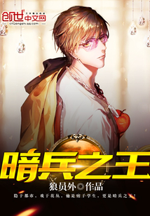 暗兵之王