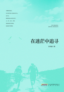 在迷茫中追尋