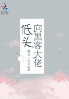 向黑客大佬低頭在線閱讀