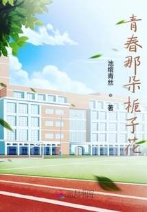 星光泠月沁無聲