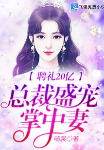 聘禮20億：總裁盛寵掌中妻