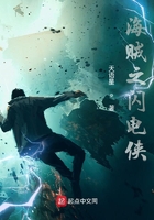 海贼之闪电侠在线阅读