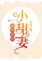 陸先生的小甜妻在線閱讀