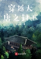 穿越大唐之封王在线阅读