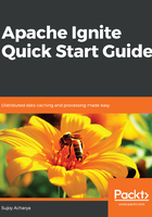 Apache Ignite Quick Start Guide在线阅读