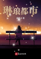琳琅都市在线阅读