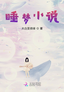 睡夢小說