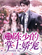 似爱而非:陈少的掌上娇宠在线阅读