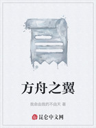 方舟之翼在线阅读