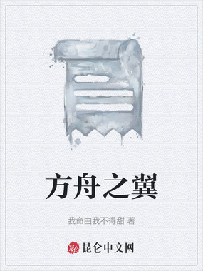 方舟之翼在线阅读