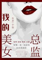 我的美女总监在线阅读