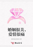 婚姻很美，愛情很痛在線閱讀