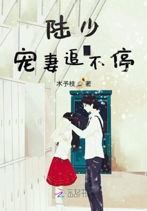 陸少寵妻追不停