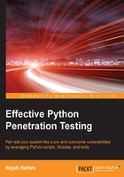 Effective Python Penetration Testing在线阅读