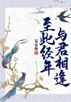 至此經年，與君相逢在線閱讀