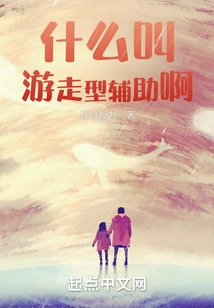 什么叫游走型辅助啊 封面