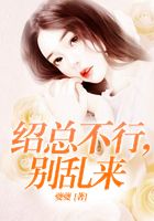 紹總不行，別亂來在線閱讀