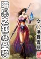 暗黑之狂暴圣骑