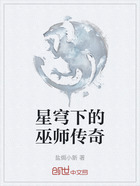 星穹下的巫师传奇在线阅读