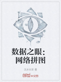 数据之眼：网络拼图
