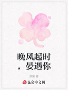 晚风起时,晏遇你在线阅读