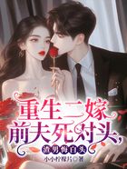 重生二嫁前夫死对头,渣男悔白头在线阅读