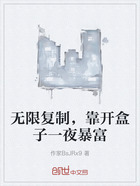 无限复制,靠开盒子一夜暴富在线阅读