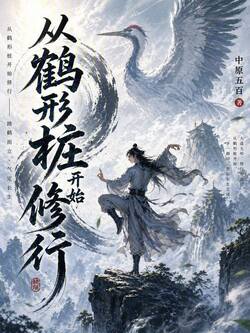 从鹤形桩开始修行 封面