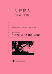 亂世佳人（套裝上下冊）（譯文名著精選）
