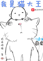 我是猫大王