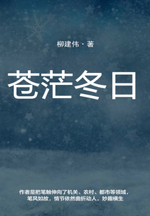 蒼茫冬日