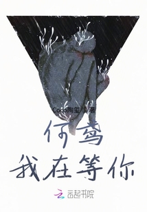何鳶我在等你
