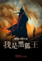 我是黑狐王在線閱讀