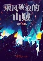 乘風破浪的山賊在線閱讀