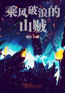 乘風破浪的山賊