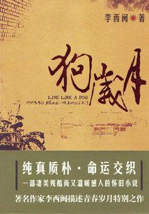 狗歲月