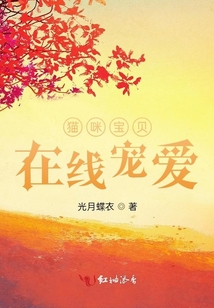 貓咪寶貝在線寵愛