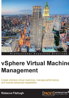 vSphere Virtual Machine Management