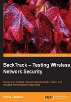 BackTrack：Testing Wireless Network Security在线阅读