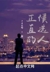 正直的候选人 cover