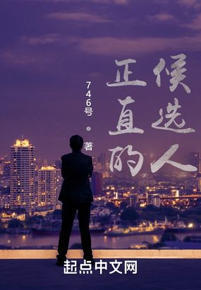 正直的候选人在线阅读