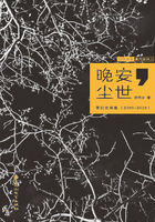 晚安，尘世：宫白云诗选（2009-2018）在线阅读