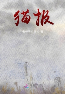 貓報(bào)